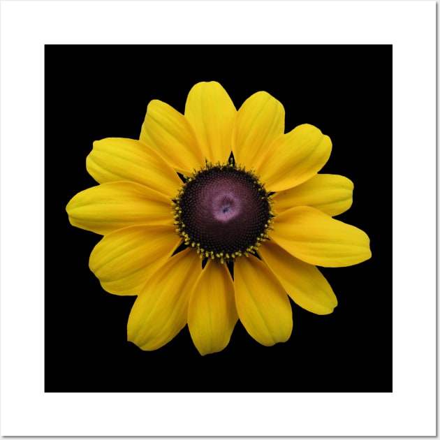 yellow sunhat - flower, flowers, sun, blooms Wall Art by rh_naturestyles